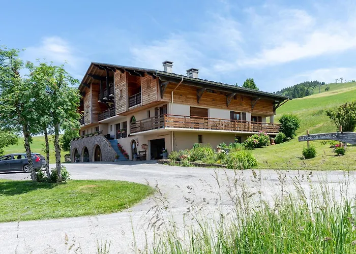 9 - La Palettaz * Cohennoz